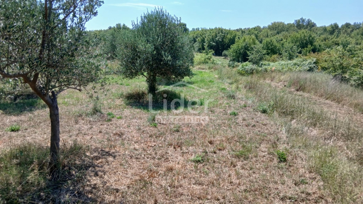 Terreno Rovinj, 12.786m2