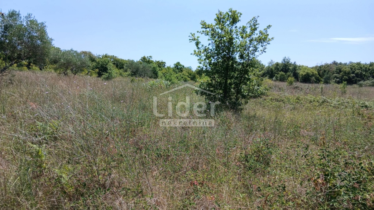Terreno Rovinj, 12.786m2