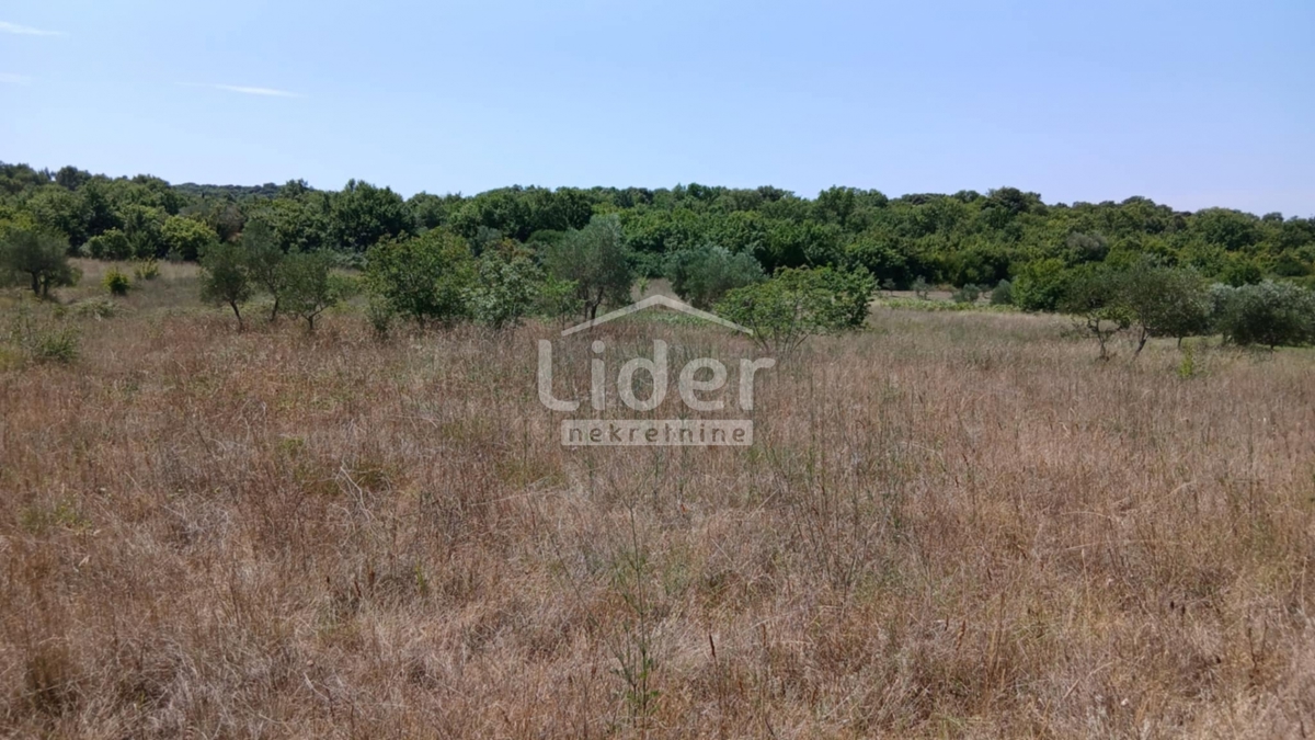 Terreno Rovinj, 12.786m2