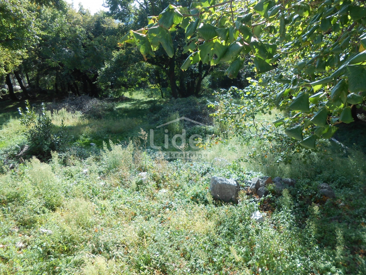 ANTOVO (GRIŽANE) Terreno edificabile di 1126 m2