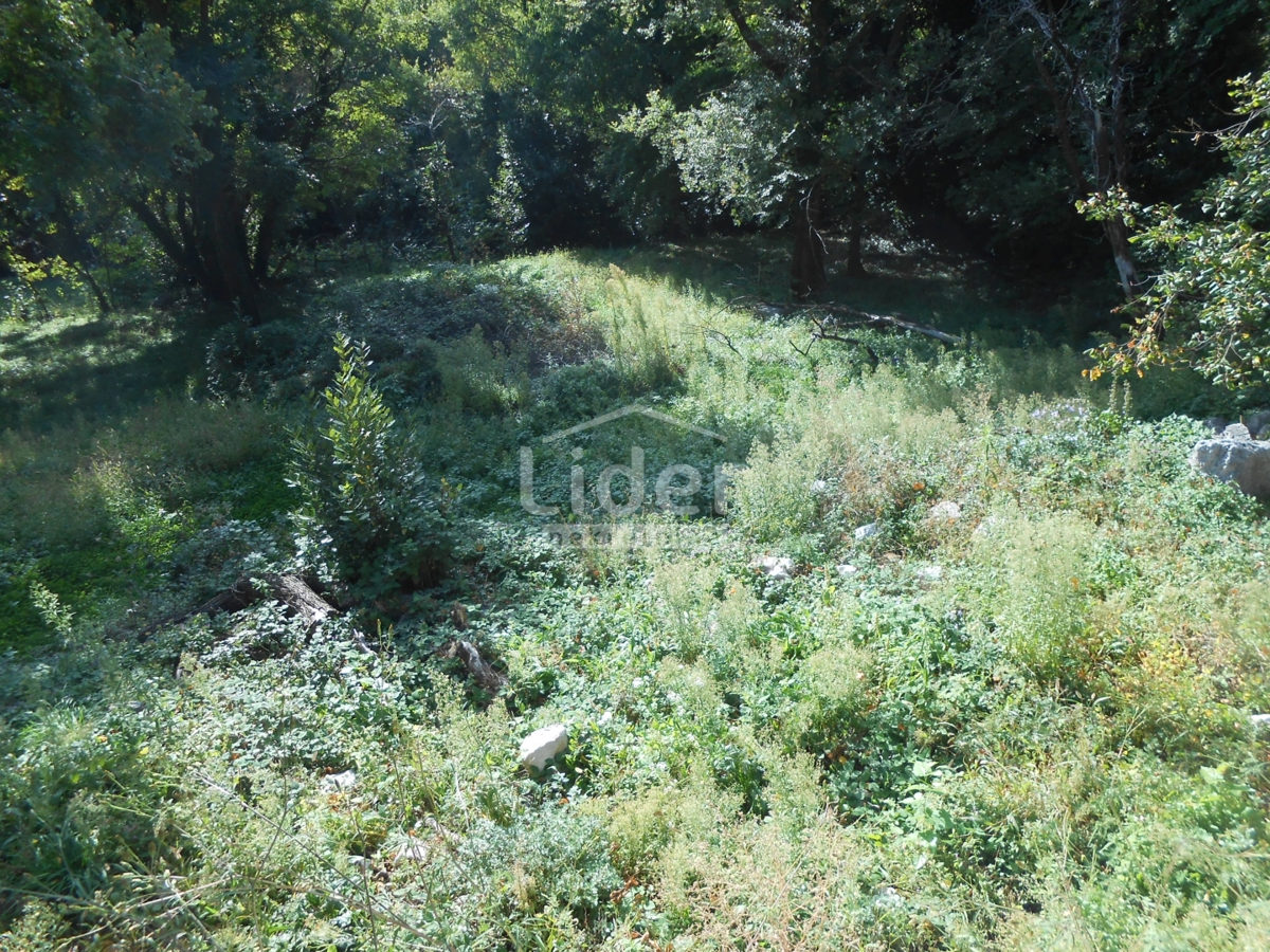 ANTOVO (GRIŽANE) Terreno edificabile di 1126 m2