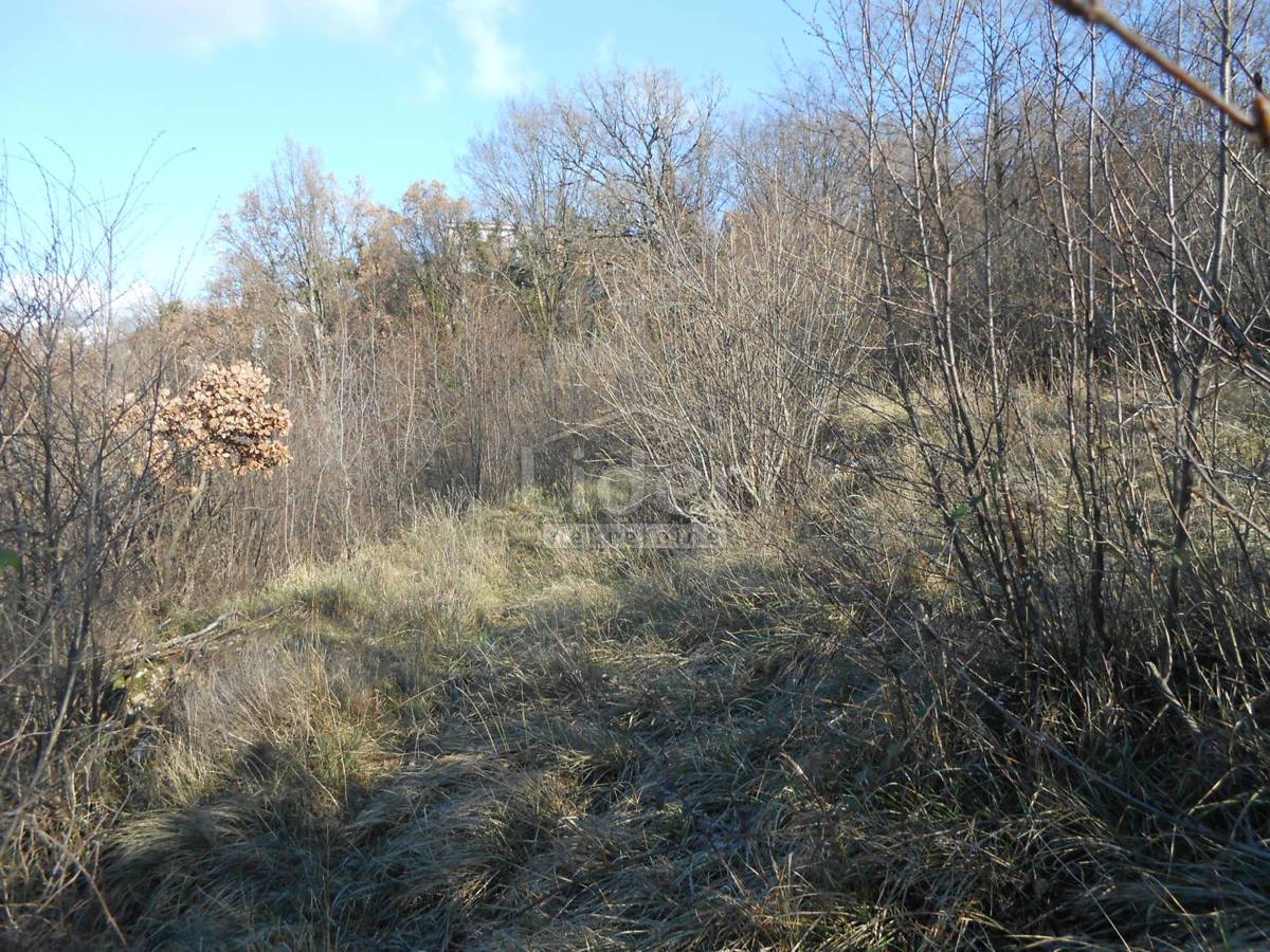 Terreno Cernik, Čavle, 1.017m2