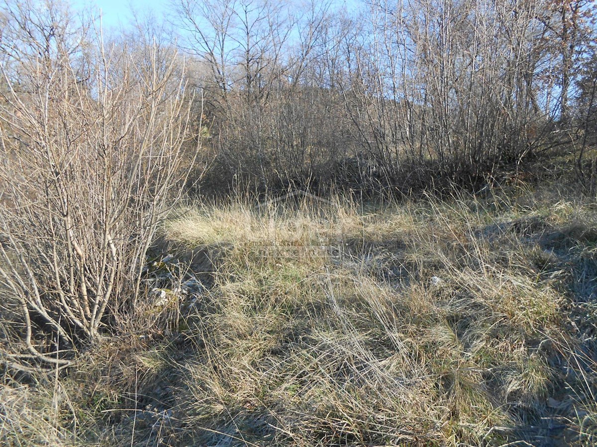 Terreno Cernik, Čavle, 1.017m2