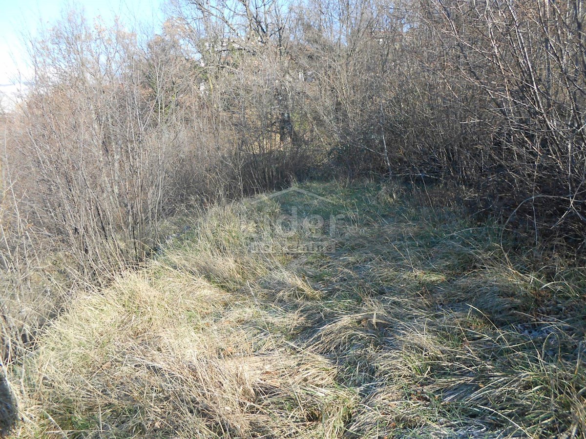 Terreno Cernik, Čavle, 1.017m2