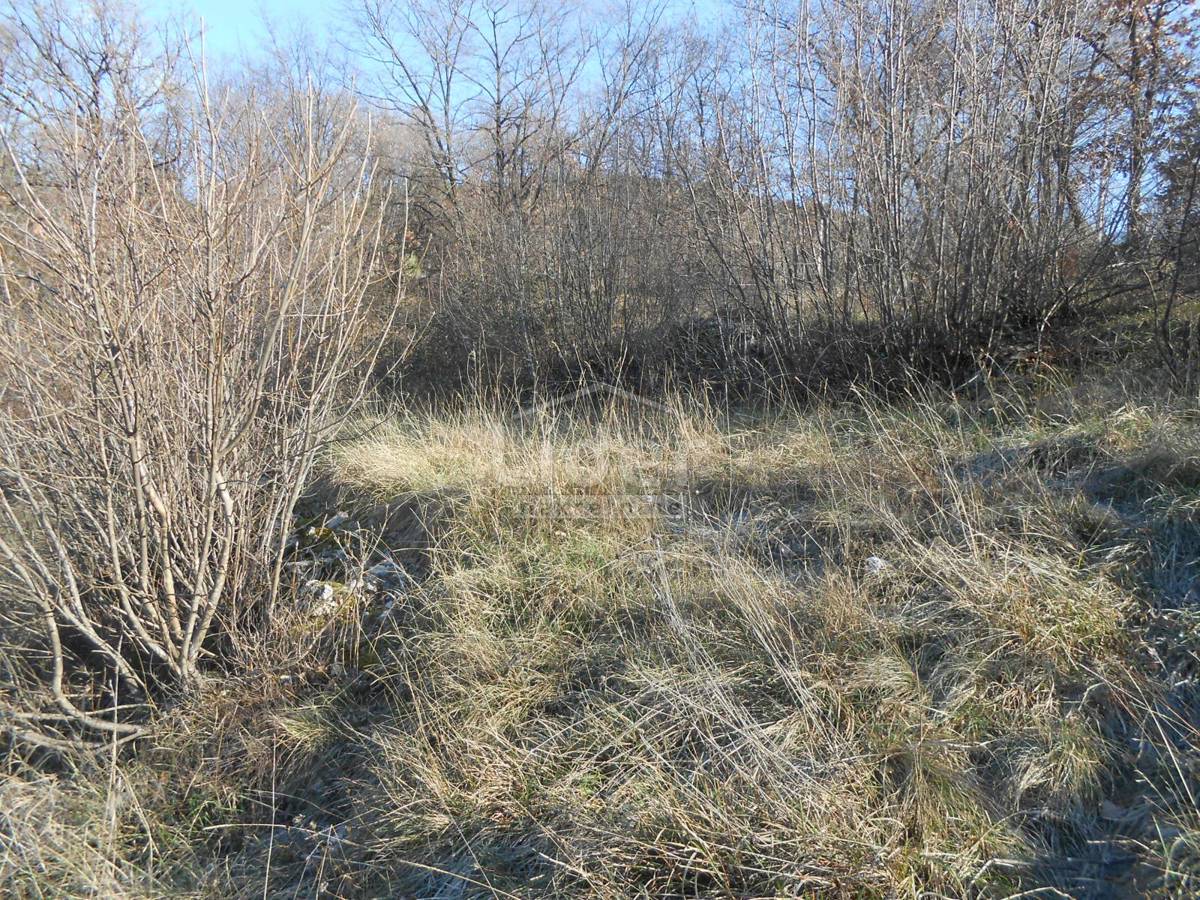 Terreno Cernik, Čavle, 1.017m2