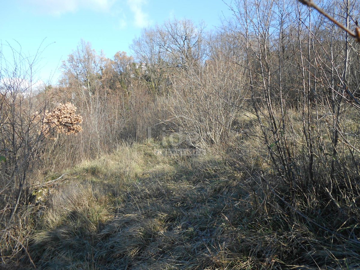 Terreno Cernik, Čavle, 1.017m2