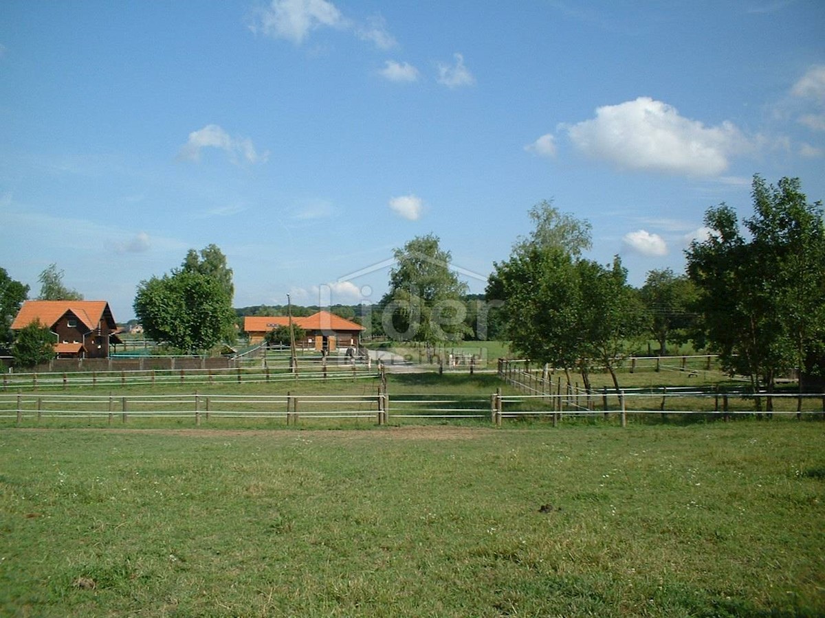 Terreno Habjanovac, Dubrava, 4.434m2