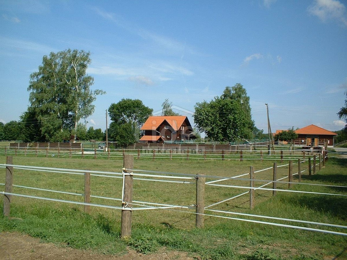 Terreno Habjanovac, Dubrava, 4.434m2