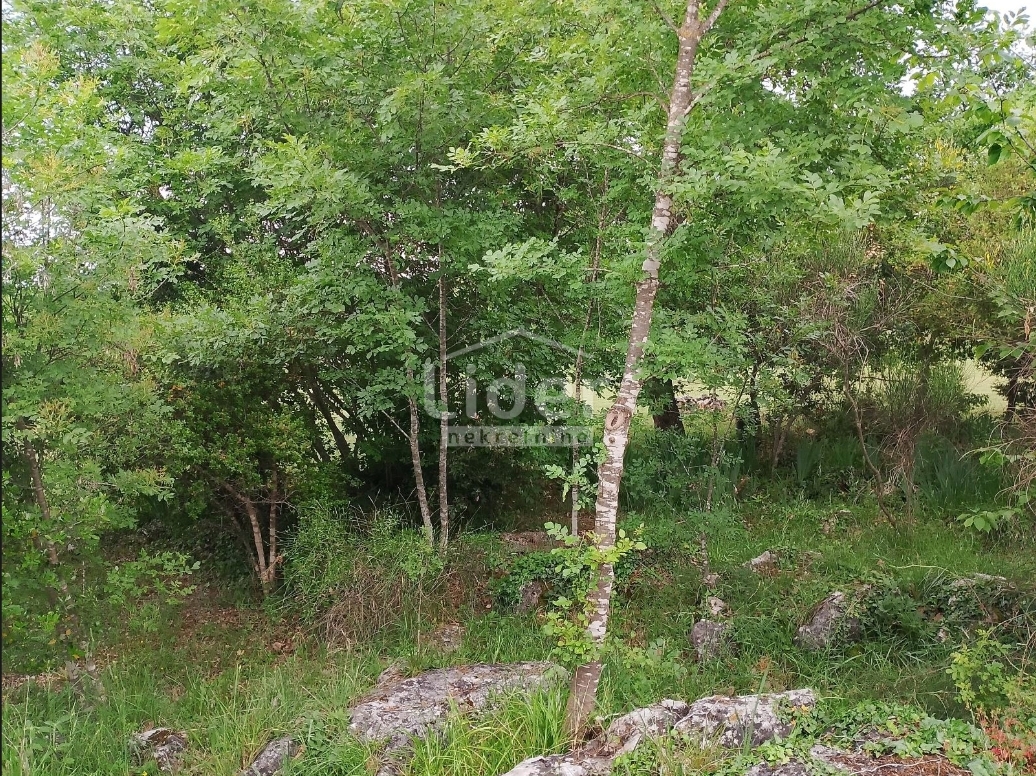Terreno Rovinj, 4.617m2