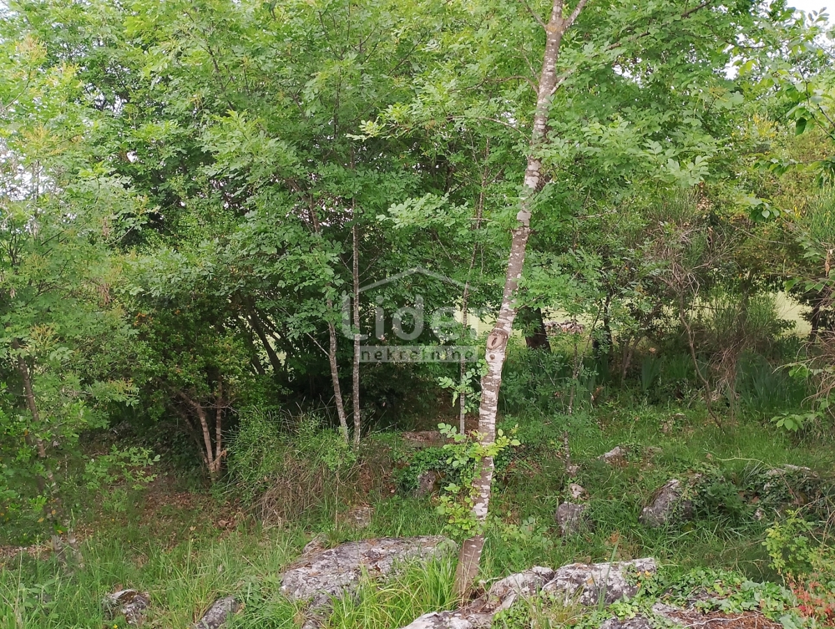 Terreno Rovinj, 4.617m2