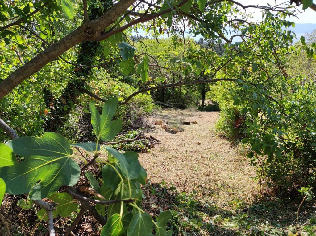 HRELJIN Rudere su un terreno di 1665 m2