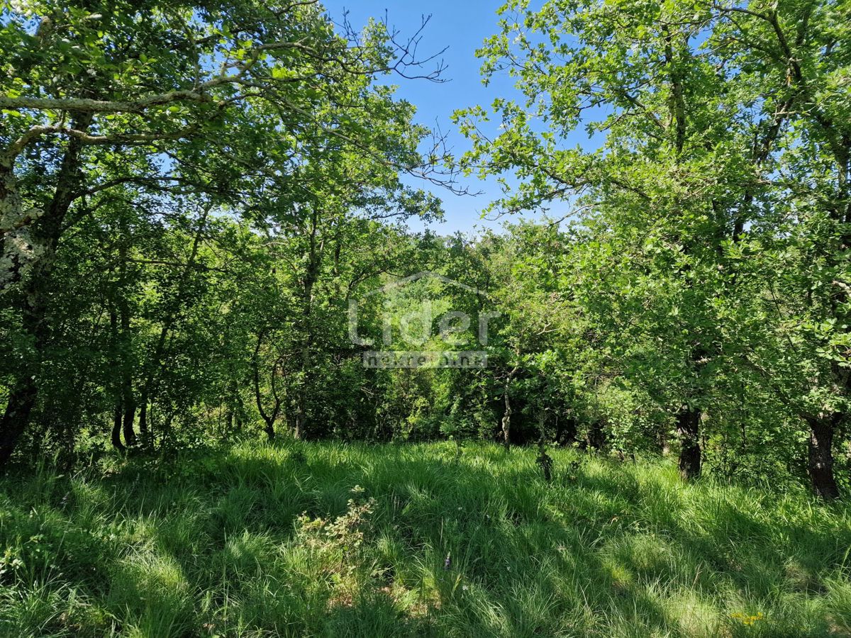 Terreno Stranići kod Lovreča, Sveti Lovreč, 13.686m2