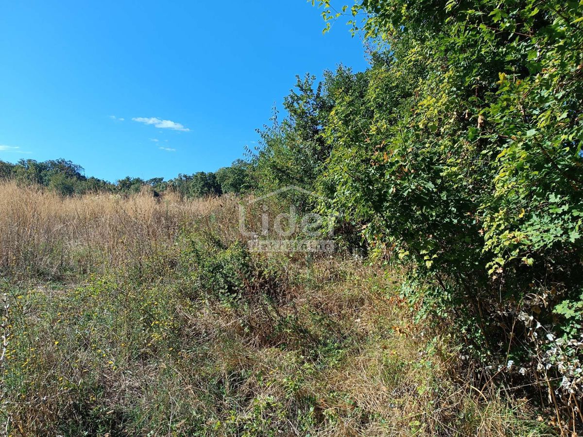 Terreno Buzdohanj, Čavle, 3.548m2