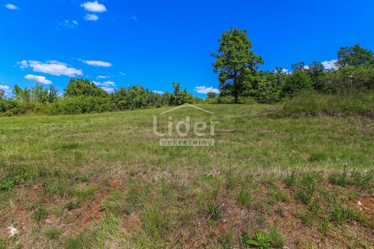 Terreno Šterna, Grožnjan, 1.579m2