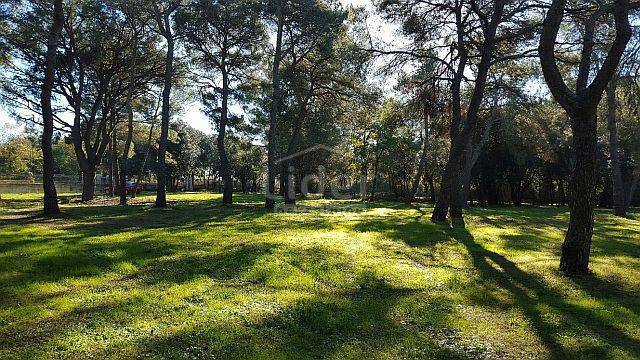Terreno Rovinj, 12.050m2