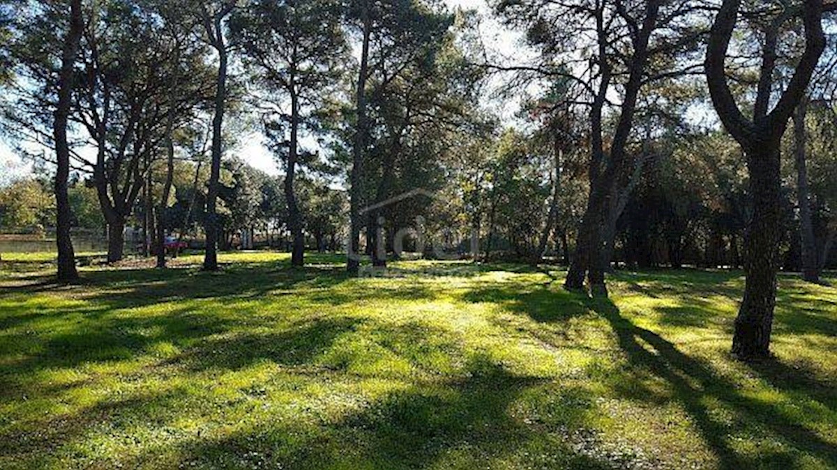 Terreno Rovinj, 12.050m2