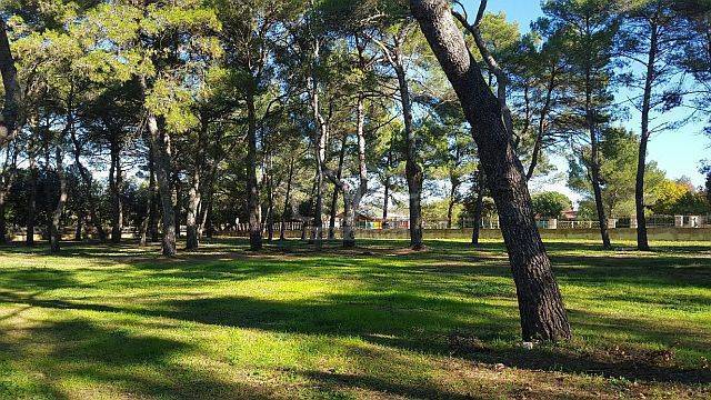 Terreno Rovinj, 12.050m2