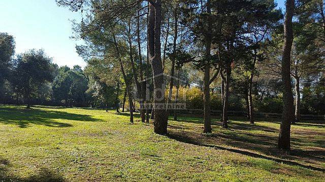 Terreno Rovinj, 12.050m2