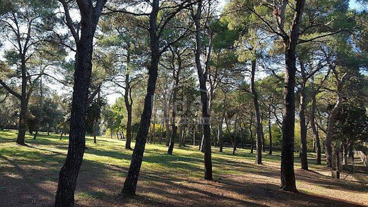 Terreno Rovinj, 12.050m2