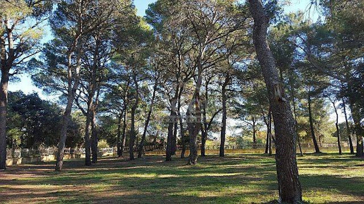 Terreno Rovinj, 12.050m2