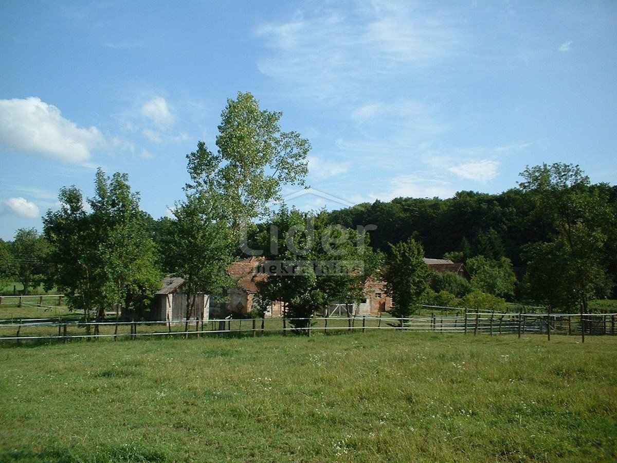 Terreno Habjanovac, Dubrava, 4.434m2