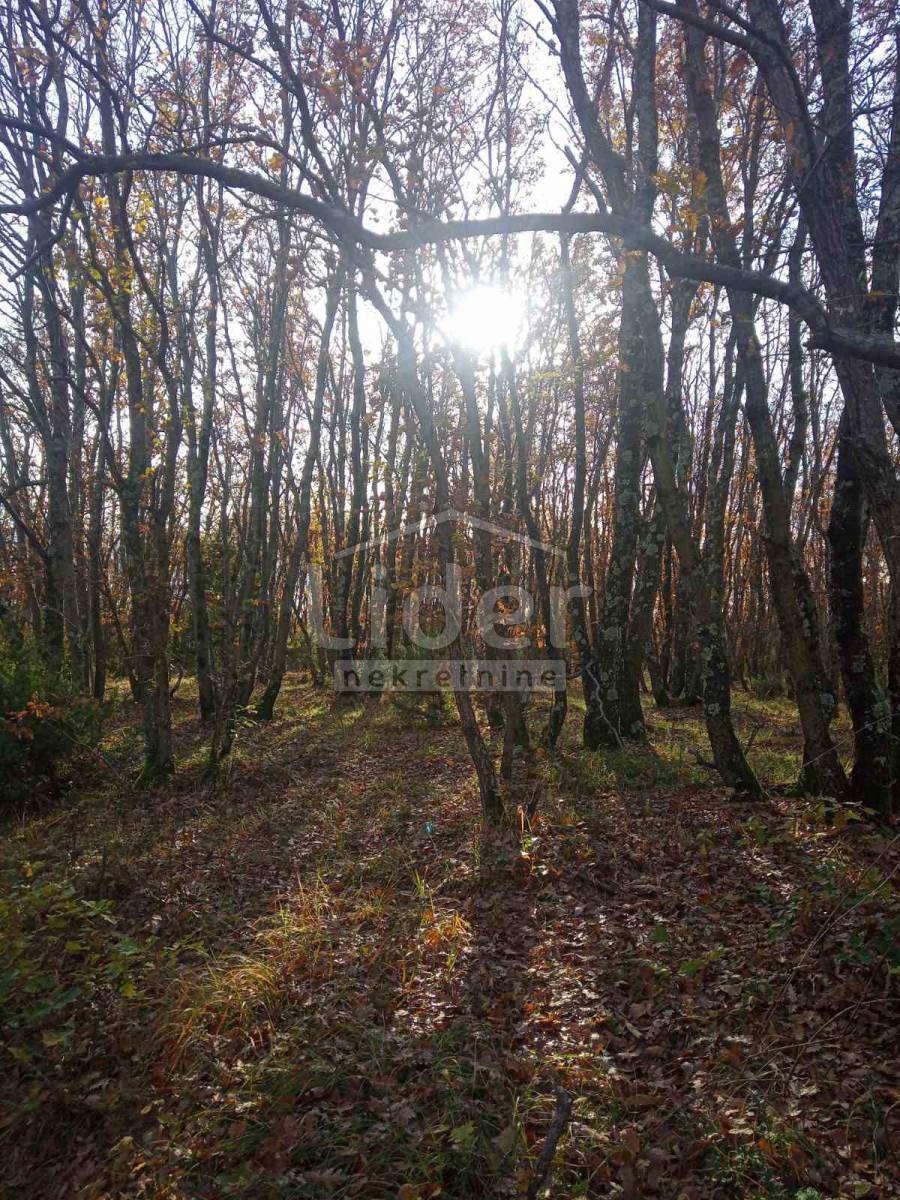 Terreno Vodnjan, 68.000m2