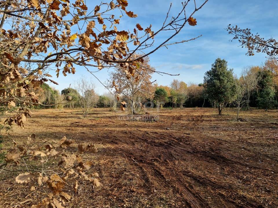 Terreno Rovinj, 6.300m2
