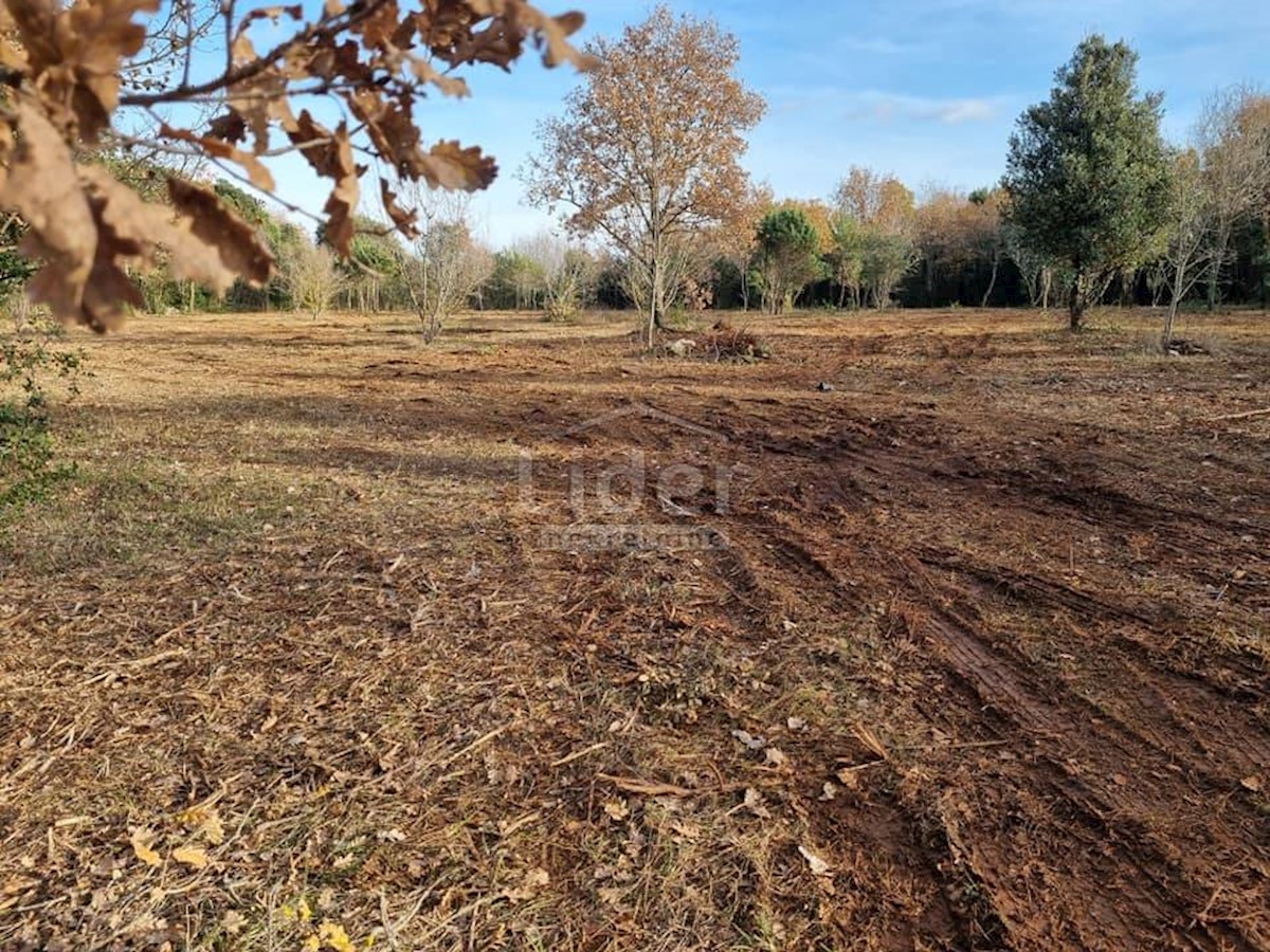 Terreno Rovinj, 6.300m2