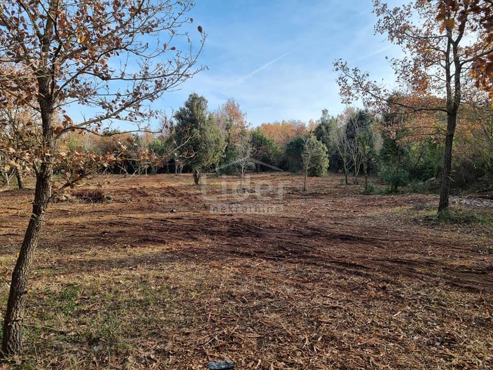 Terreno Rovinj, 6.300m2