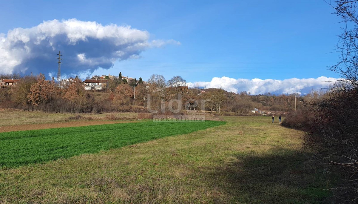 Terreno Trviž, Pazin - Okolica, 2.383m2