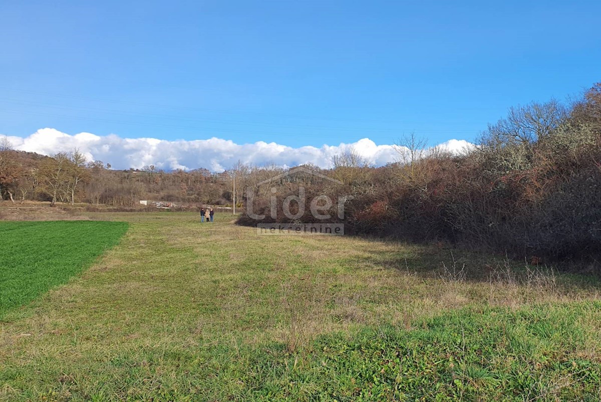 Terreno Trviž, Pazin - Okolica, 2.383m2