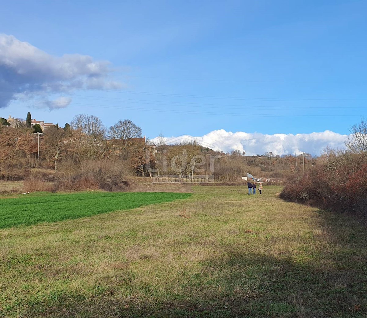 Terreno Trviž, Pazin - Okolica, 2.383m2