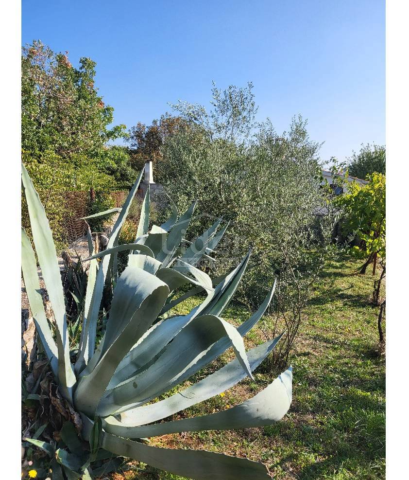 Casa Rovinj (Rovinjsko Selo), 134m2