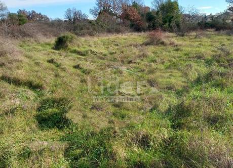 Terreno Čabrunići, Svetvinčenat, 400m2