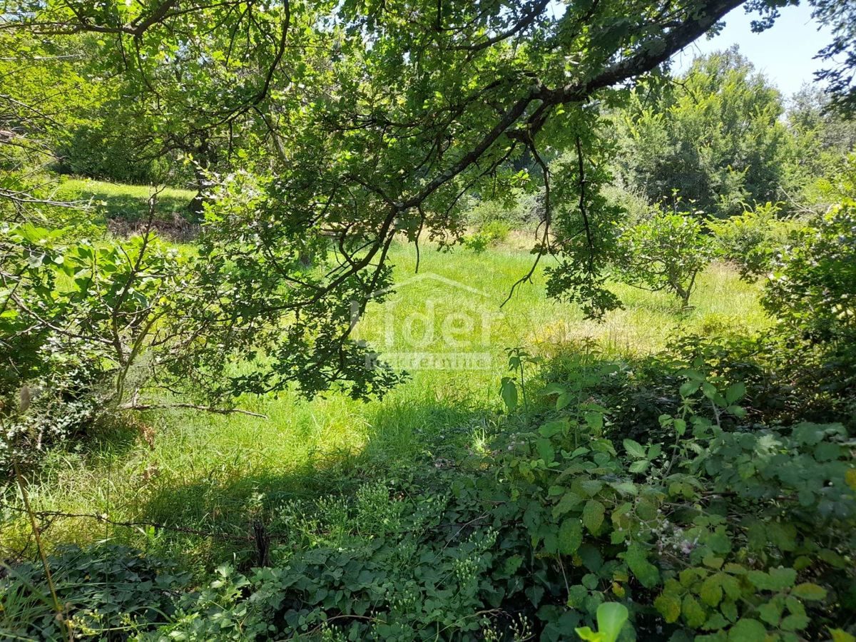 Terreno Bribir, Vinodolska Općina, 1.641m2