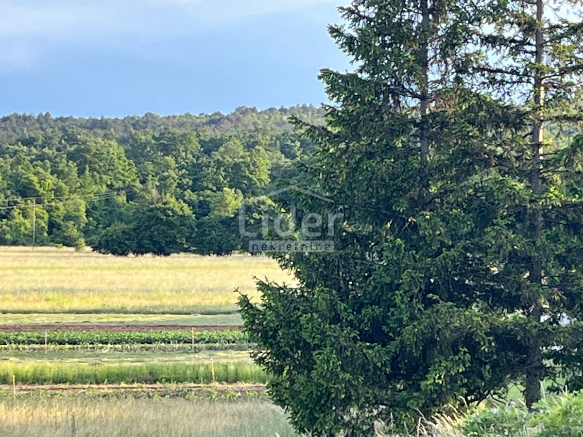 Terreno Ročko Polje, Buzet, 9.071m2