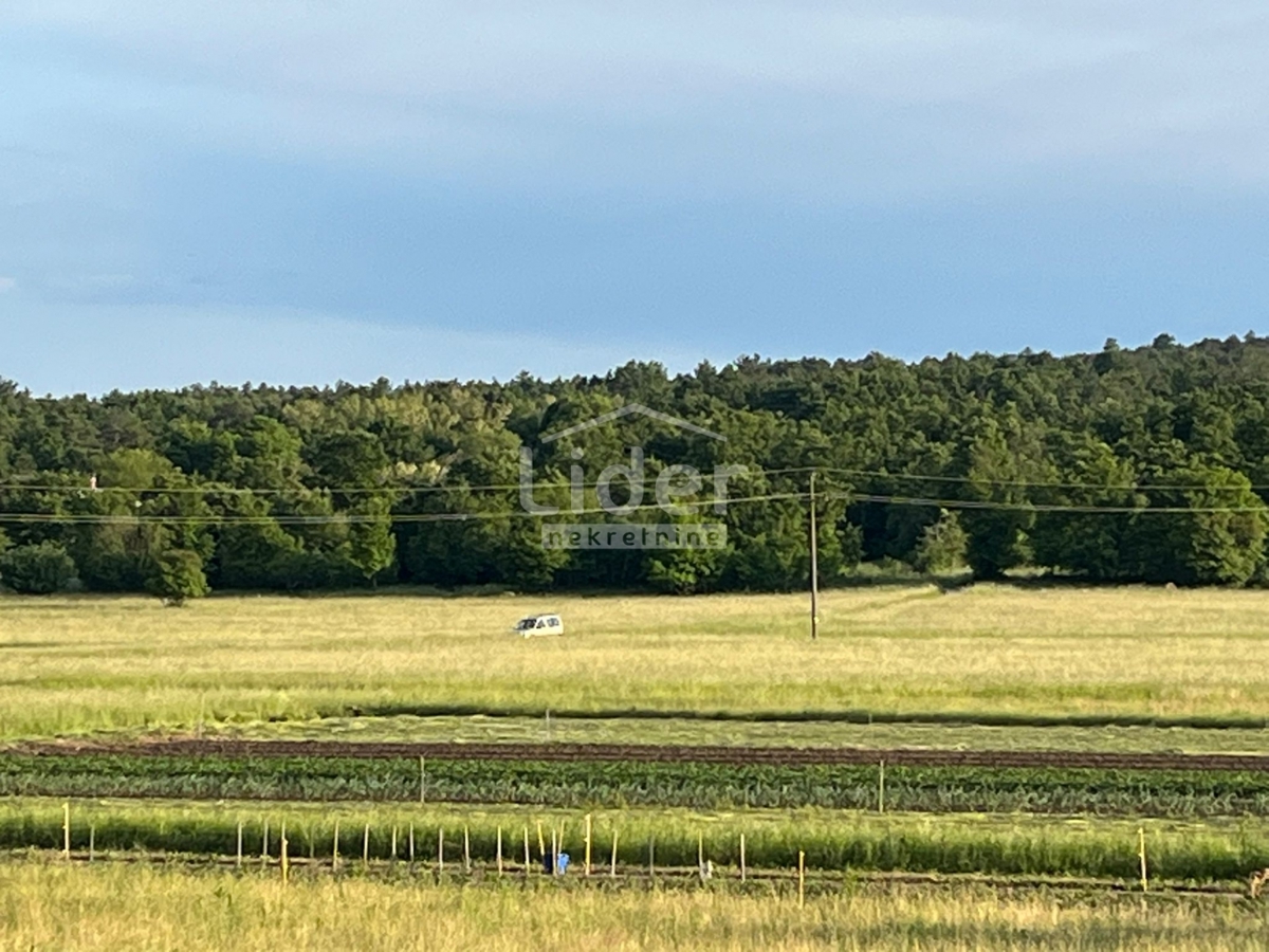 Terreno Ročko Polje, Buzet, 9.071m2