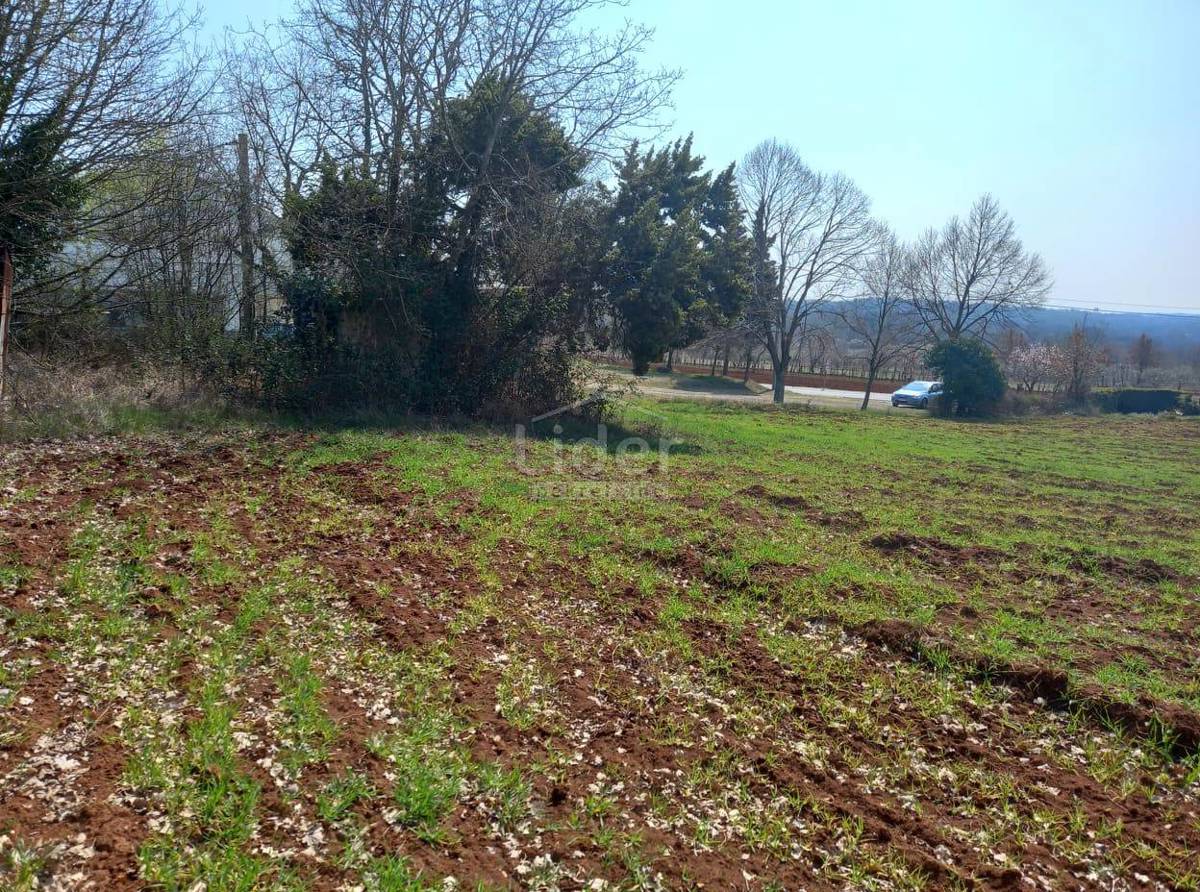 Terreno Barban, 6.411m2