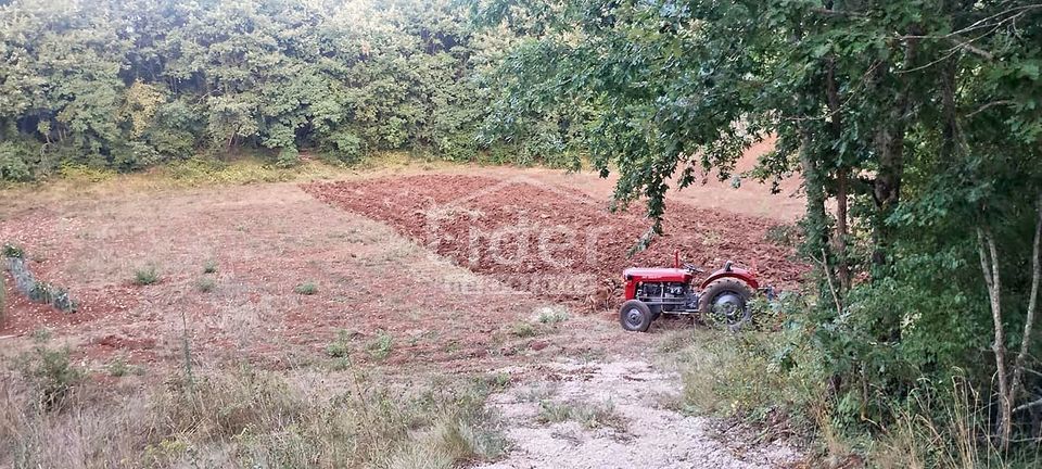 Terreno Kranjčići, Svetvinčenat, 27.000m2