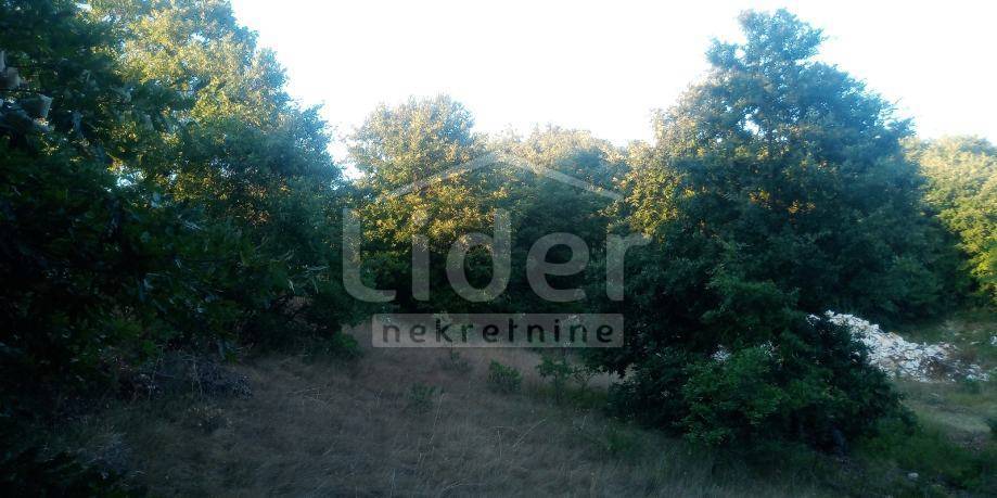 Terreno Kranjčići, Svetvinčenat, 27.000m2