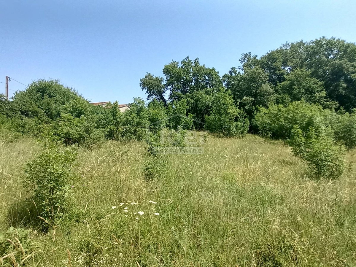 Terreno Režanci, Svetvinčenat, 1.957m2