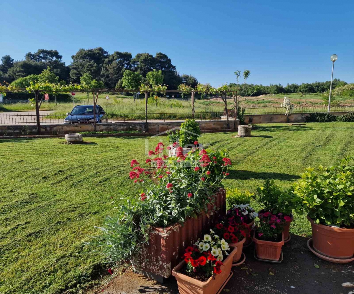 Casa Višnjan, 677,14m2