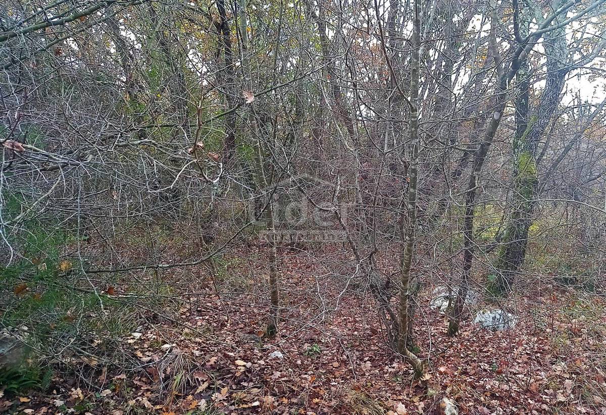 Terreno Rovinjsko Selo, Rovinj, 1.250m2