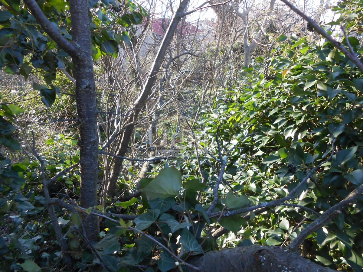 Terreno Kraljevica, 1219 m2