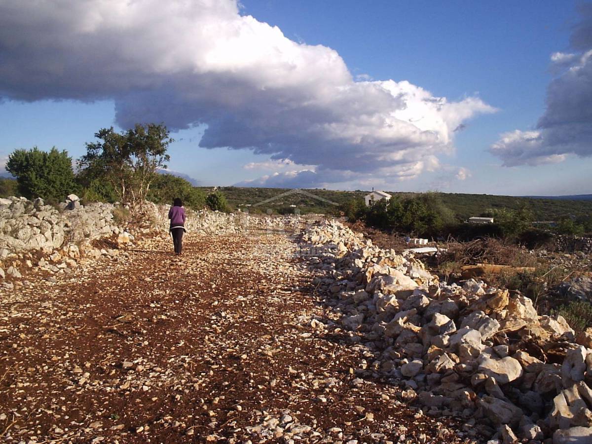 Terreno Novalja, 20.272m2