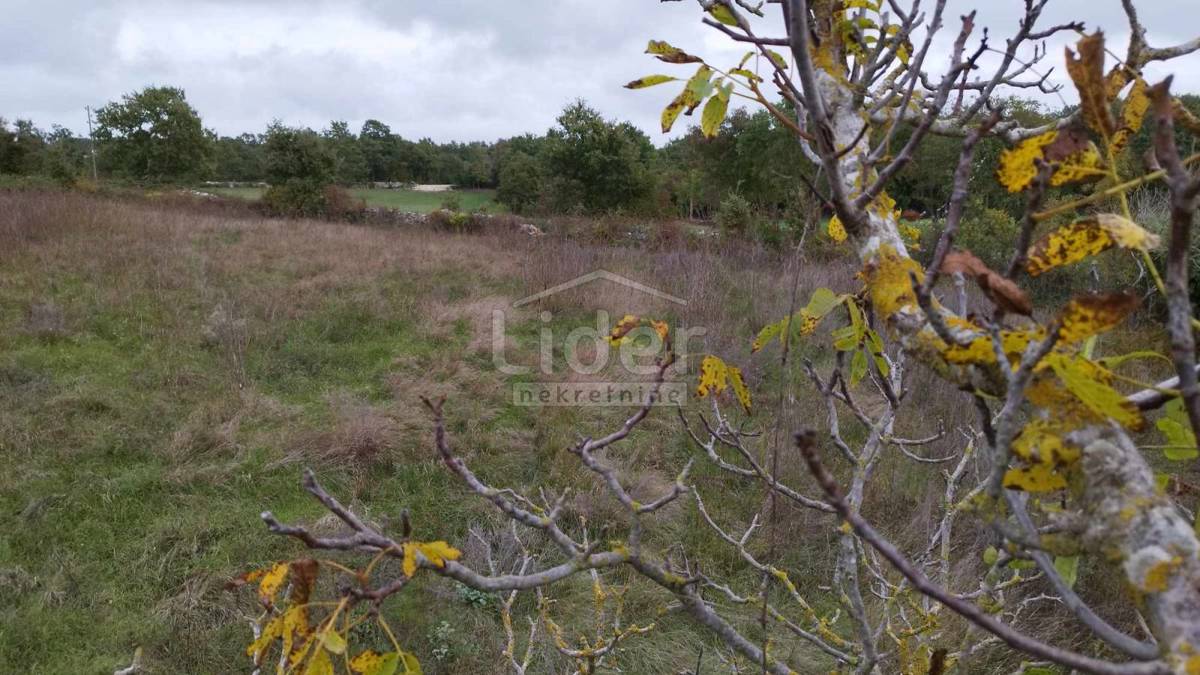 Terreno Tomišići, Žminj, 5.320m2