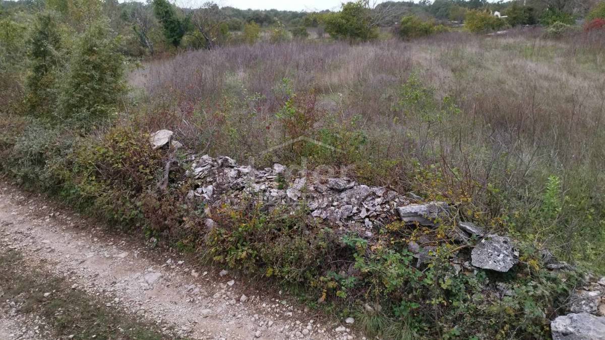 Terreno Tomišići, Žminj, 5.320m2