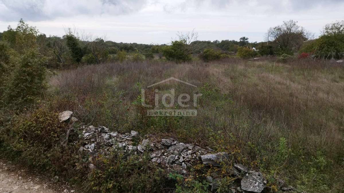 Terreno Tomišići, Žminj, 5.320m2