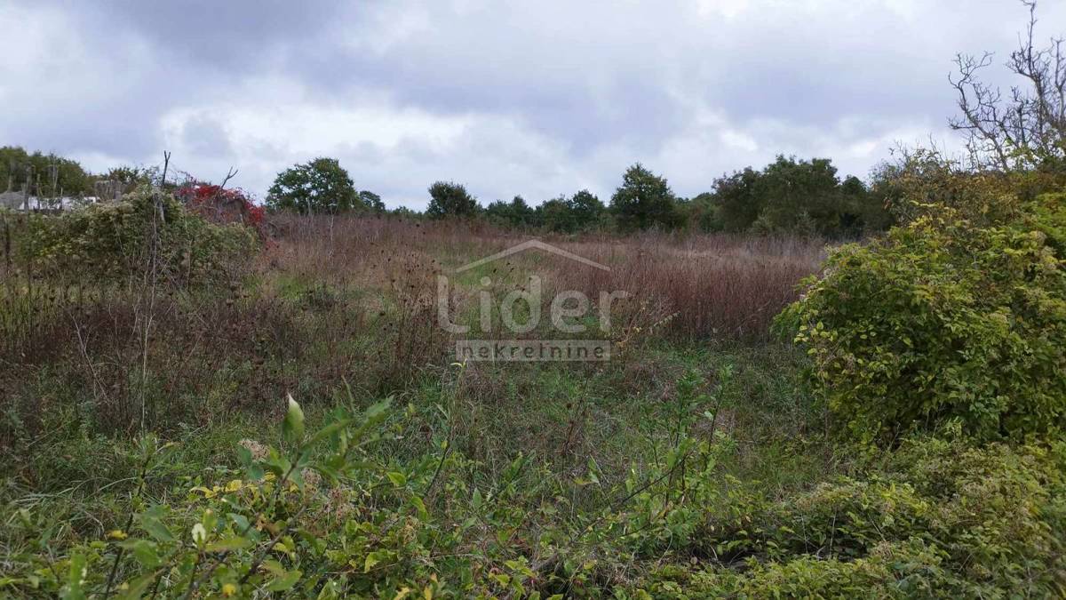 Terreno Tomišići, Žminj, 5.320m2