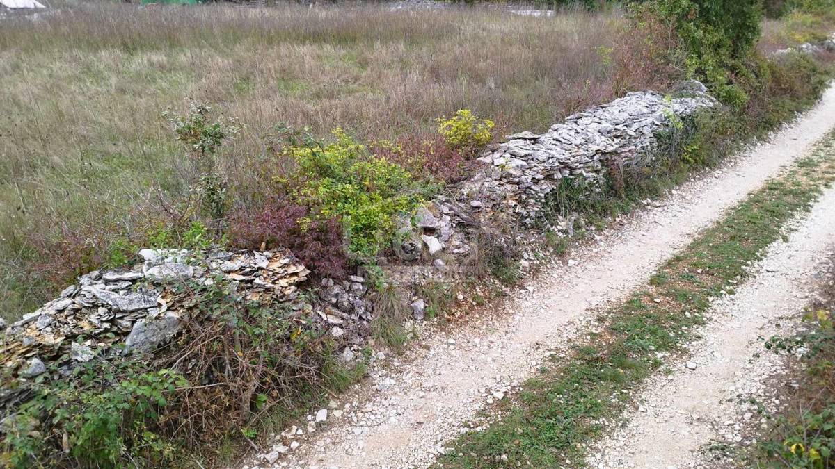 Terreno Tomišići, Žminj, 5.320m2